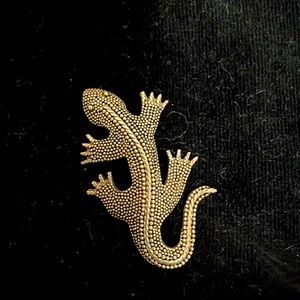 Gecko brooche , silver